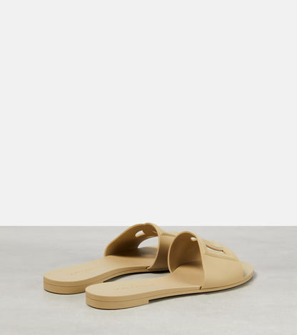DG RUBBER SLIDE