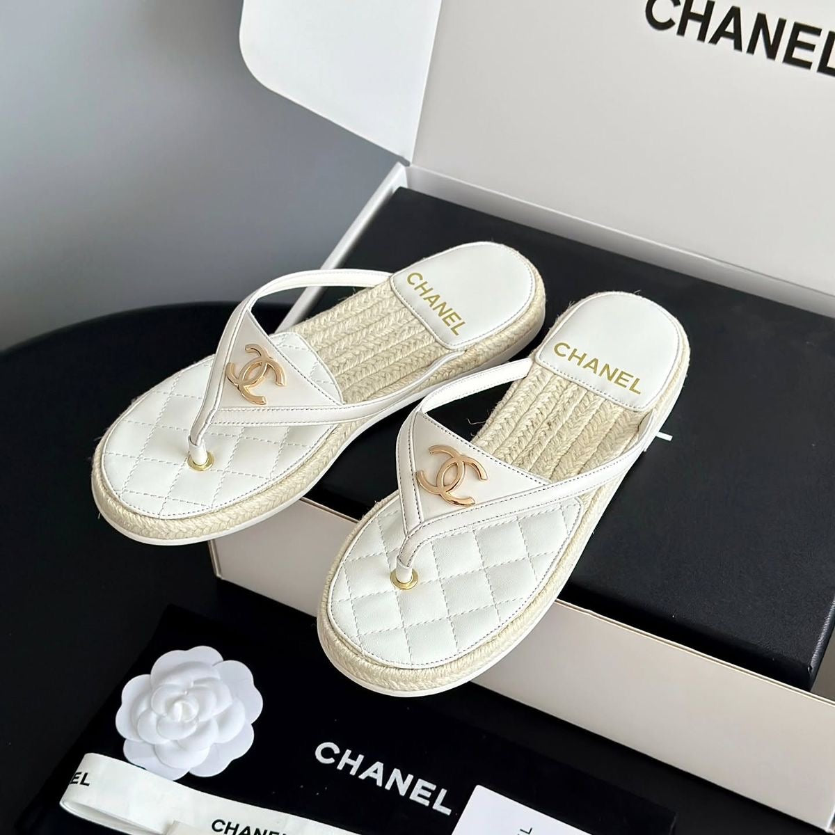 CC SLIDES