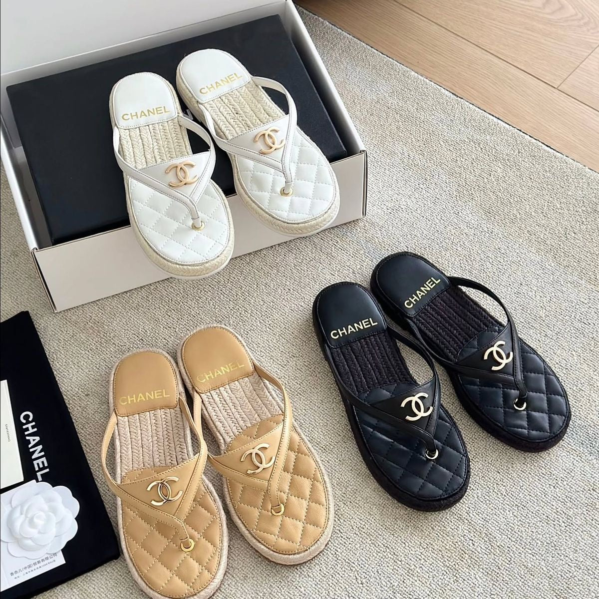 CC SLIDES